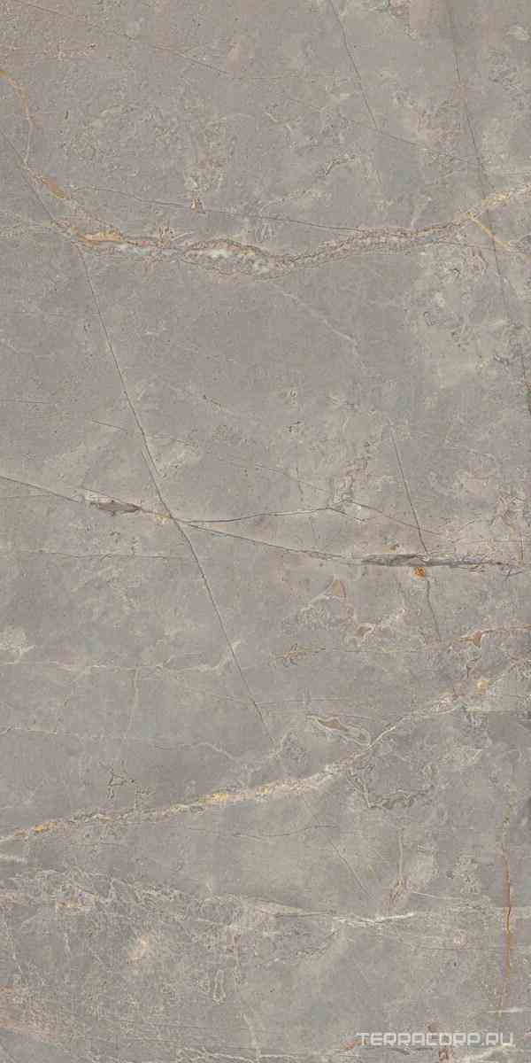 Bernini 03 grey неполир.60х120
