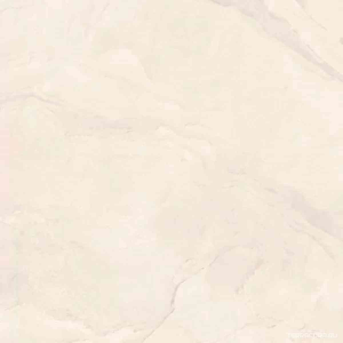 ARDESI6 60 RM ( п.п.) 60x60