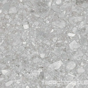 Керамогранит Zerde Palladino  light grey 60x60 Серый 