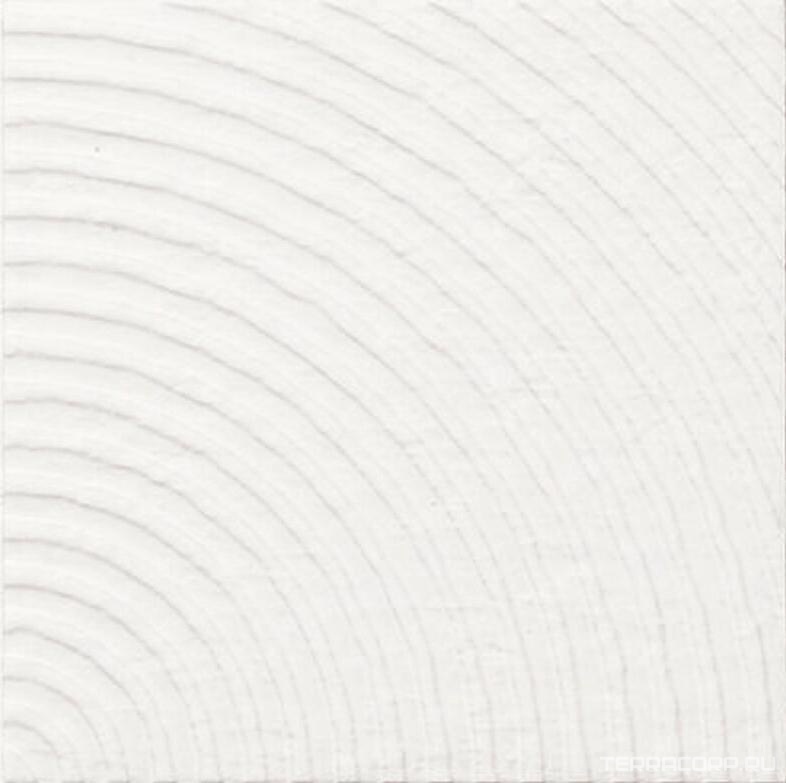 Керамогранит APE Ceramica Esencia Material Drante Natural 20x20 Белый, фото 3