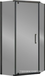 Душевой уголок 1000х1000хh1950мм, 5-ти угольный, распашн дверь правая/левая, с 2 неподв.сегмент, (стекло прозр.6мм, фурн.цв.воронен.сталь), Stresa ZZ