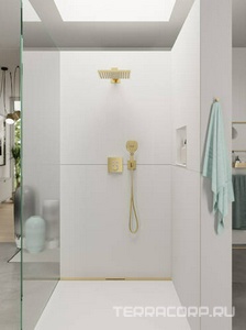 Ручной душ, (цв.полир.золото),  Select E 120 Air 3jet ZZ Hansgrohe Raindance 26520990