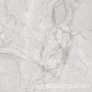 Керамогранит Leopard Olivia  Grey carving 120x120 Серый 