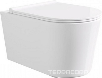 Унитаз подвесной 50х35см, безободковый, сиденье с микролифтом, крепеж в компл., (цв.белый глянец), Form ZZ