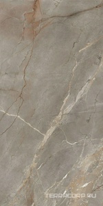 Керамический гранит (керамогранит) Ariostea  Ultra Marmi Collemandina Polished 150x300 Серый 