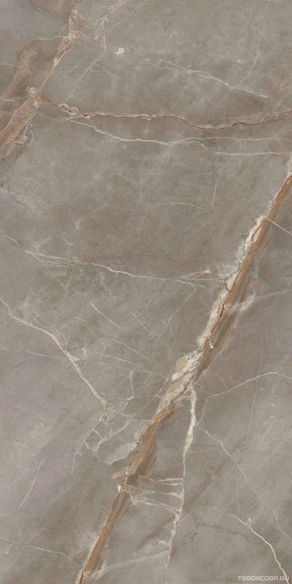 Керамический гранит (керамогранит) Ariostea Ultra Marmi Collemandina Polished 150x300 Серый, фото 4