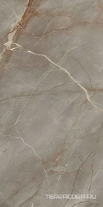 Керамический гранит (керамогранит) Ariostea  Ultra Marmi Collemandina Polished 150x300 Серый 
