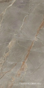 Керамический гранит (керамогранит) Ariostea  Ultra Marmi Collemandina Polished 150x300 Серый 