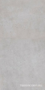 Керамогранит Гранитея Alatau/Алатау Алатау серый ГР403 мат / Alatau Grey G403 60x120 Серый 