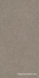 Керамогранит Ametis Астеро  RO02 серый непол. 80x160 ZZ Серый 