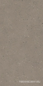 Керамогранит Ametis Астеро  RO02  серый непол. рект. 60x120 ZZ Серый 