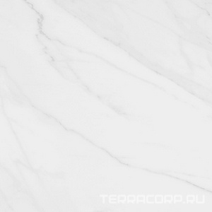Керамогранит Pamesa CR Lenci Lenci Blanco lev Rect. (п.п) 120x120 Белый 