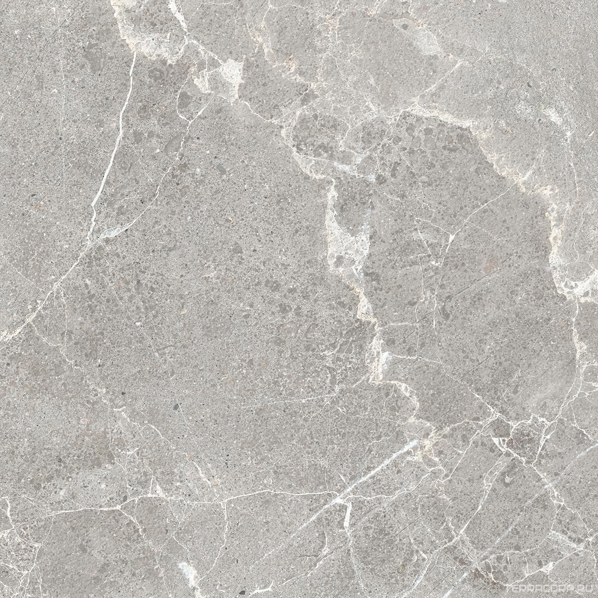 Керамогранит ProGRES Ceramica Garcia grey матовый 60х60 Серый, фото 6