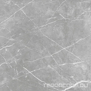 Керамогранит ProGRES Ceramica Marble  line grey матовый серый светлый  60х60 Светло-серый 