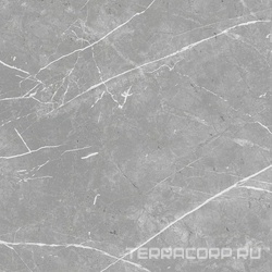 Marble line grey матовый серый светлый  60х60