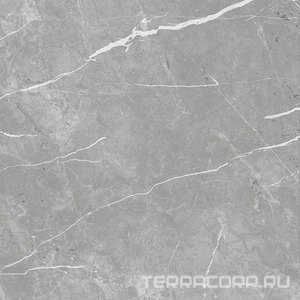 Керамогранит ProGRES Ceramica Marble  line grey матовый серый светлый  60х60 Светло-серый 