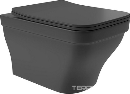 Унитаз подвесной 520х365мм, безободковый, сиденье с микролифтом, крепёж в компл., (цв.черный матовый),  ZZ Aqueduto ESTETA EST0140