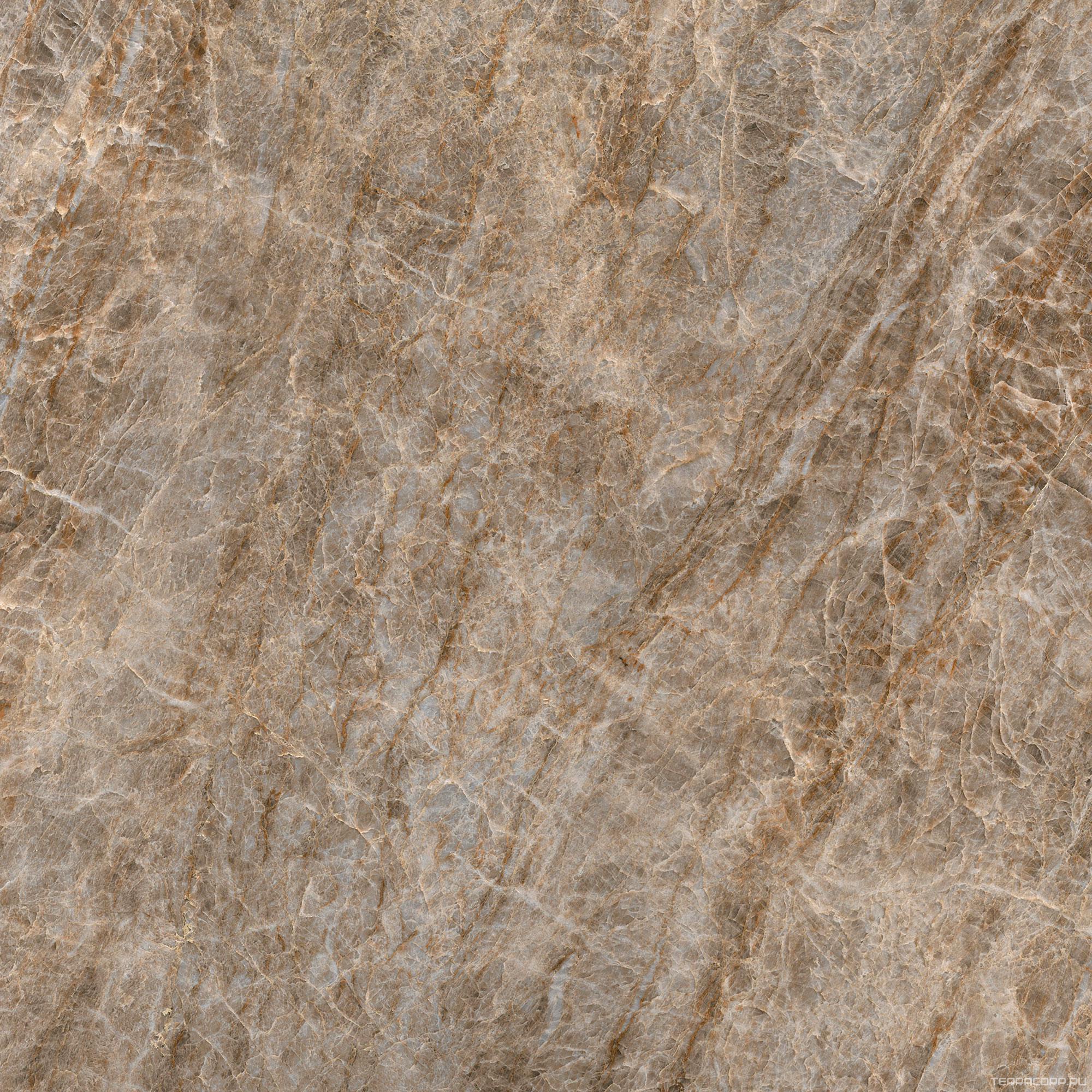 Керамогранит Florim Magnum Iconic Life Iconic Life Moka Yamuna Matte Silk 120x120 Коричневый, фото 5