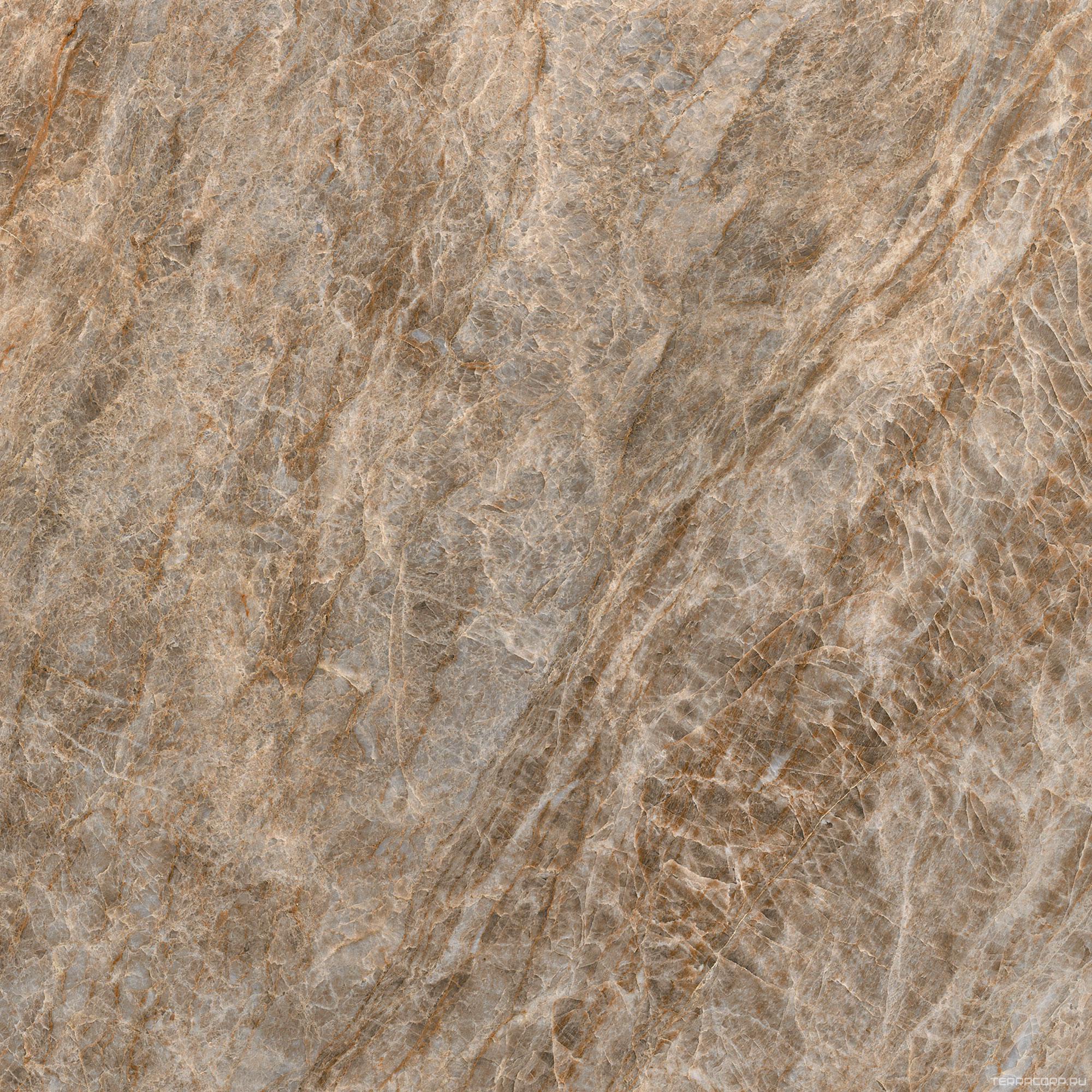 Керамогранит Florim Magnum Iconic Life Iconic Life Moka Yamuna Matte Silk 120x120 Коричневый, фото 3