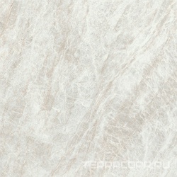 Iconic Life Rice Yamuna Matte Silk 120x120  