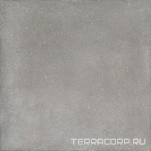 Керамогранит Imola BLOX 6 120G RM  (п.п.) 120x120 Серый 