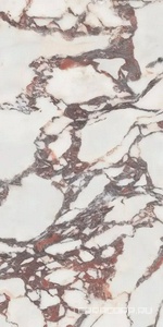 Керамогранит Leopard Calacattal Viola  pol. 60x120 Комбинированный 