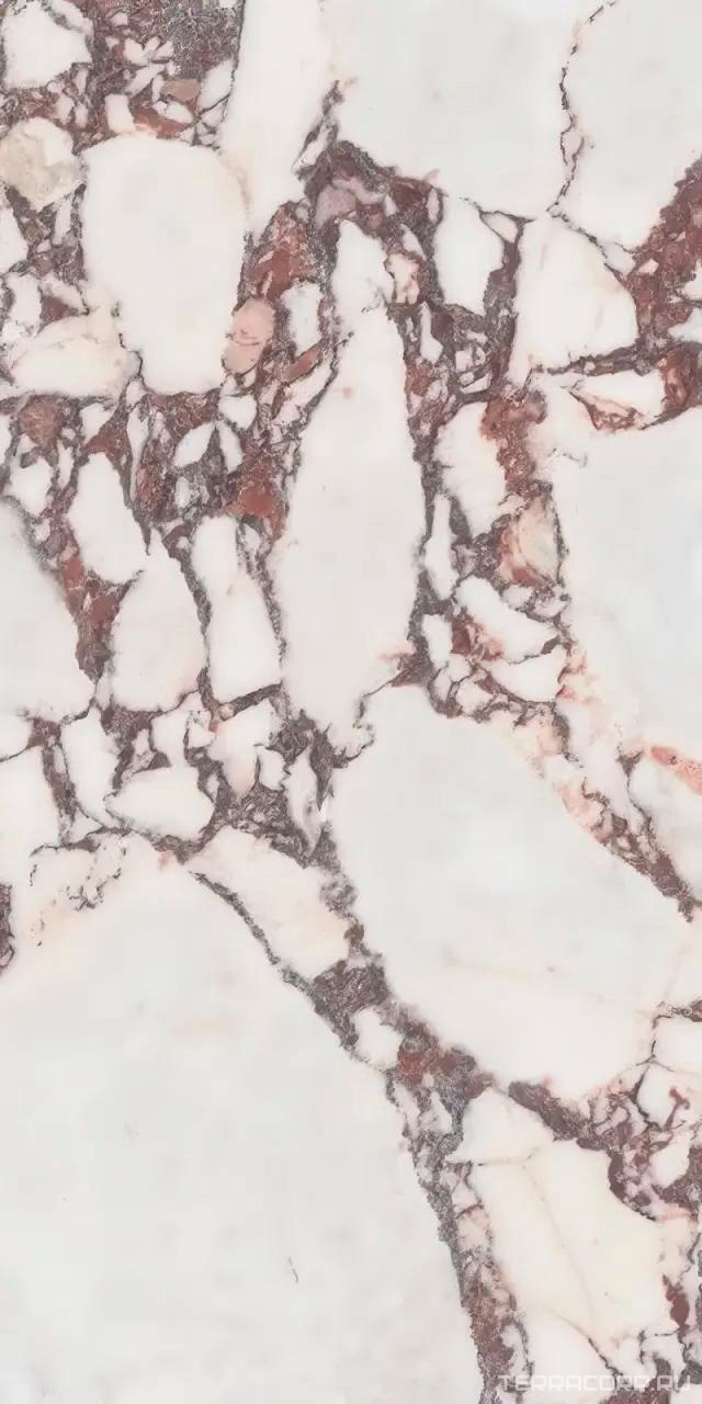 Керамогранит Leopard Calacattal Viola pol. 60x120 Комбинированный, фото 5