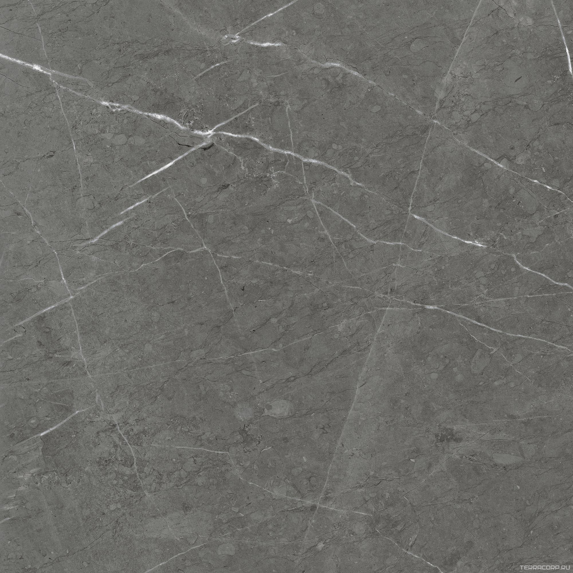 2203 Темно-серый Лаппатированный 60х60 Kerranova Skala K-2203/LR/600x600x10, фото 3