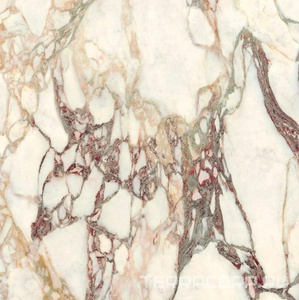 Керамогранит Ariostea Ultra Marmi Calacatta Viola Natural (R9) 75x75 Комбинированный 