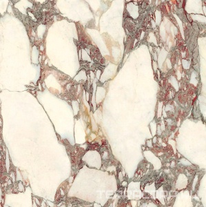 Керамогранит Ariostea Ultra Marmi Calacatta Viola Natural (R9) 75x75 Комбинированный 