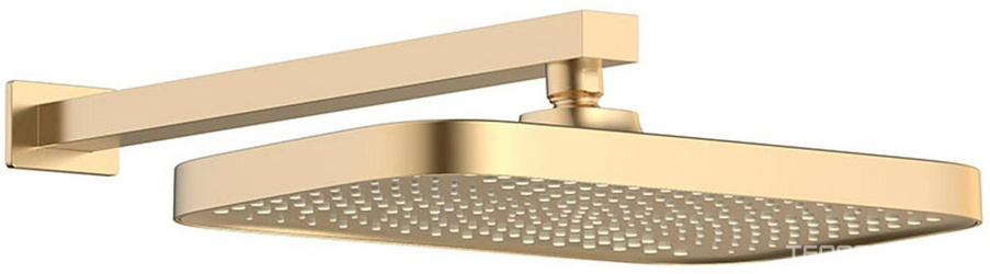 Душ верхний, стационарный, 315х210мм, G 1/2, стеновой кронштейн 400мм, (пластик ABC цв.брашированное золото), Vincea ZZ Vincea Универсал VSHD-41CBG