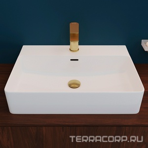 Донный клапан для сливного отверсия раковин/биде с переливом и без перелива, Push-Open, G 1 1/4, (крышка слива пластик цв.шлифованное золото),  Aqueduto RALO RAL0250