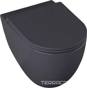 Унитаз подвесной 530х360мм, без сиденья, (цв.антрацит),  ZZ Allen Brau Reality 4.32006.AN