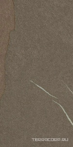 Керамогранит AtlasConcorde Россия Forte dei Marmi Rock FDMR Alpin Br. Rett 60x120/ФДМP Алпин Бр. Рет 60x120 Коричневый 