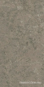 Керамогранит Atlas Concorde Italy Marvel Meraviglia  Grigio Elegante Lapp. 75x150 Серый 