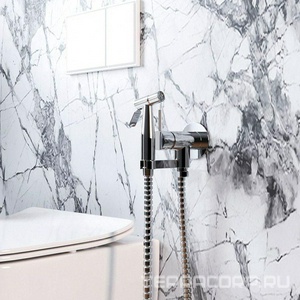 Смеситель совмещён. с гигиеническим душем, (готовый комплект: лейка пластик, шланг 100см.,скрытая часть), (цв.хром),  ZZ Paini Isola ISCR442