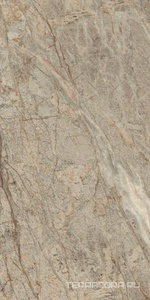 Керамогранит AtlasConcorde Россия Forte dei Marmi Rock FDMR Sensat. Gr. Rett 60x120/ФДМP Сенсат. Гр. Рет 60x120 Комбинированный 
