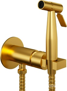 Смеситель совмещён. с гигиеническим душем, (готовый комплект: лейка, шланг, скрытая часть), (цв.никель PVD (PW)),  Round ZZ Paini Castello CAPW442R