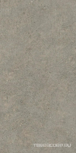 Керамогранит AtlasConcorde Россия Forte dei Marmi Rock FDMR Lunar Gr. Rett 60x120/ФДМP Лунар Гр. Рет 60x120 Серый 