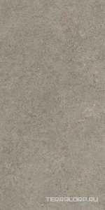 Керамогранит AtlasConcorde Россия Forte dei Marmi Rock FDMR Lunar Gr. Rett 60x120/ФДМP Лунар Гр. Рет 60x120 Серый 