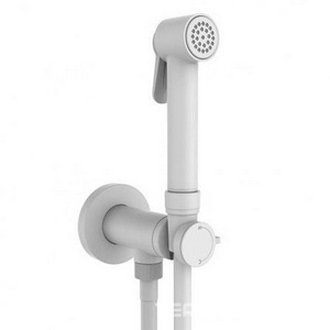 Смеситель совмещённый с гигиеническим душем, (готовый комплект: лейка металл, шланг 125см., скрытая часть), (цв.белый матовый),  ZZ Bossini Paloma Brass E37007B.045