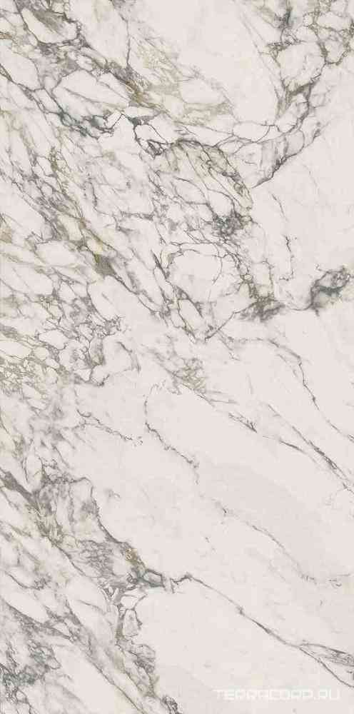 Calacatta Arabesque A Lap XX |160x320