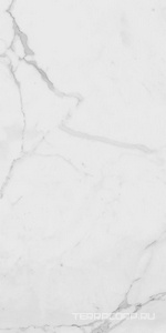 Керамогранит La Faenza Trex3 Trex 12W RM (п.п.) 60x120 Серый 