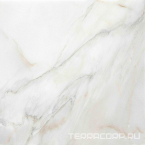 Керамогранит ProGRES Ceramica Эго  светло-серый глазурованный ZZl60х60 Серый 