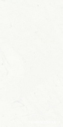 Statuario Classico Soft |60x120