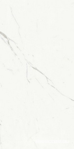 Керамогранит Ariostea Marmi Classici Statuario Classico Soft 60x120 Белый 