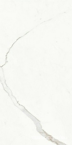 Керамогранит Ariostea Marmi Classici Statuario Classico Soft 60x120 Белый 
