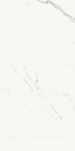 Керамогранит Ariostea Marmi Classici Statuario Classico Soft 60x120 Белый 