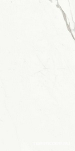Керамогранит Ariostea Marmi Classici Statuario Classico Soft 60x120 Белый 