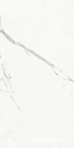 Керамогранит Ariostea Marmi Classici Statuario Classico Soft 60x120 Белый 